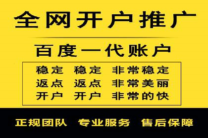 行业领先企业的SEM竞价代运营案例解析